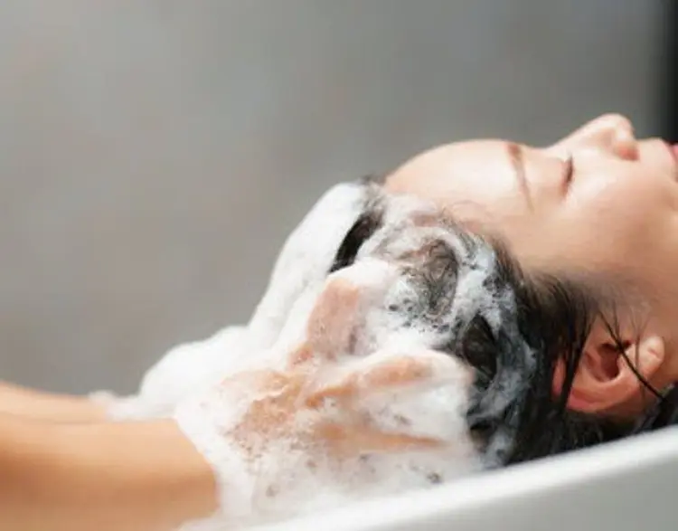 ネオヘアー緑地公園の内観・外観2