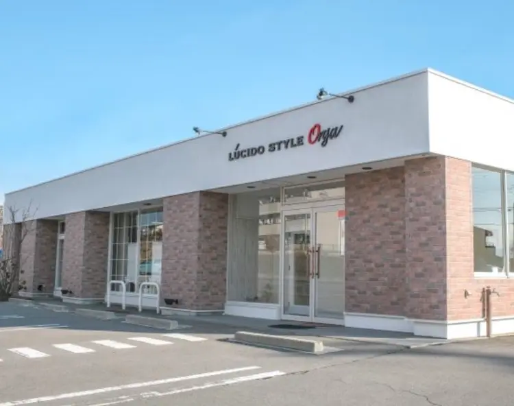 LUCIDO STYLE Orgaの内観・外観1