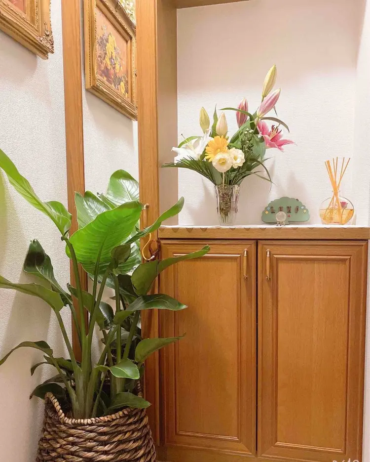 ルナの内観・外観1