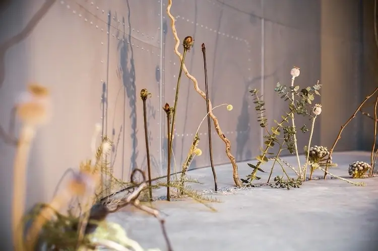 Open-Jawの内観・外観3