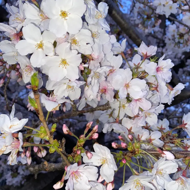 激安ネイル吹田の内観・外観1
