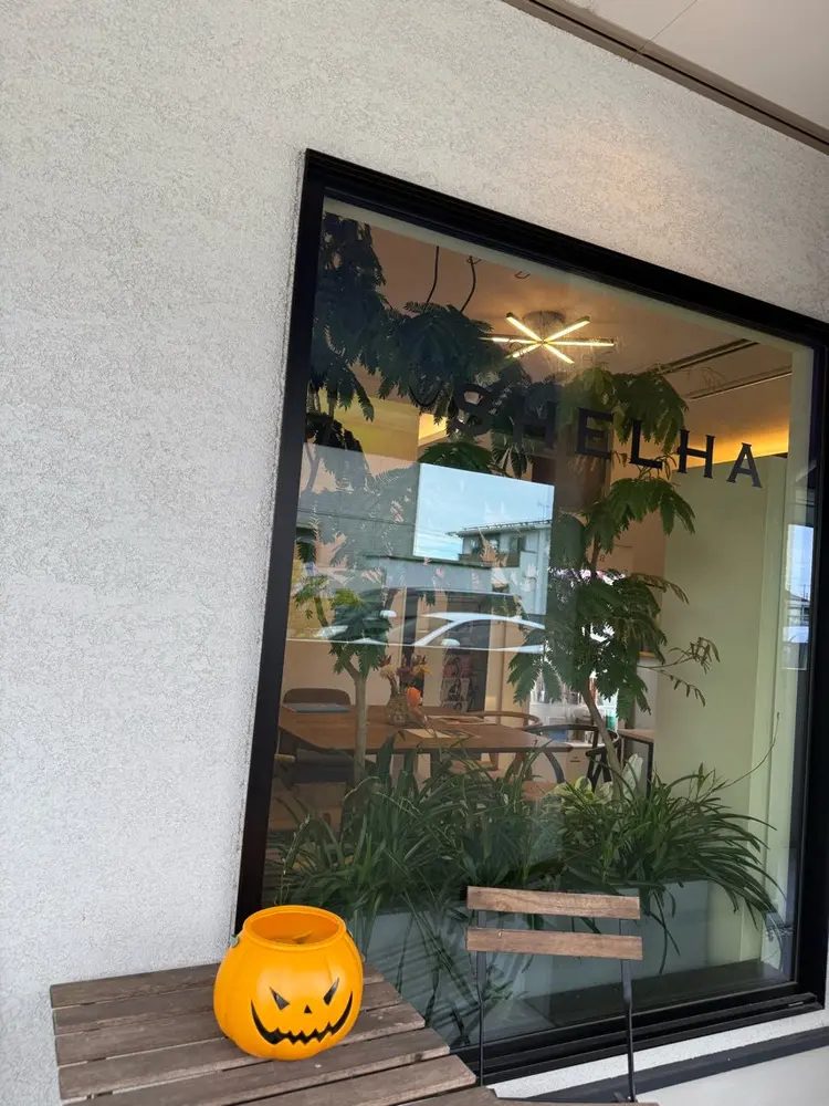 ＳＨＥＬＨＡ(シェルハ)の内観・外観1