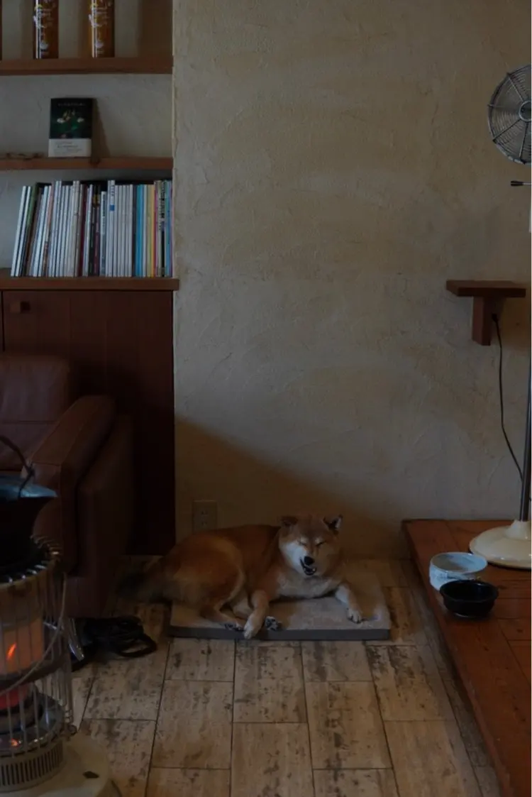 マーブレインの内観・外観3