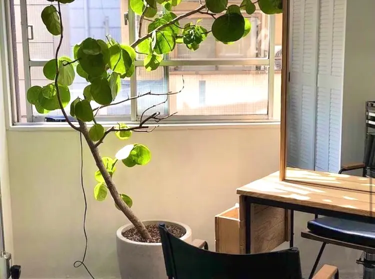 ankの内観・外観2