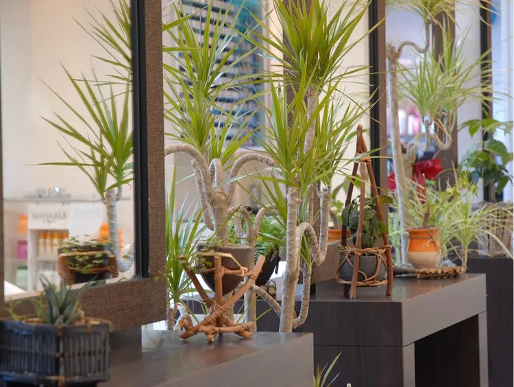 VOCEの内観・外観2