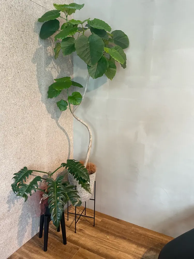 H      髪質改善　女性専用サロンの内観・外観3