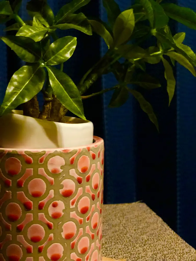 aromarockの内観・外観2