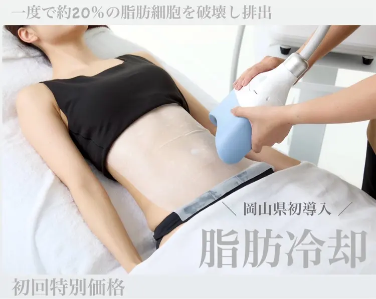 chouchou【シュシュ】の内観・外観3