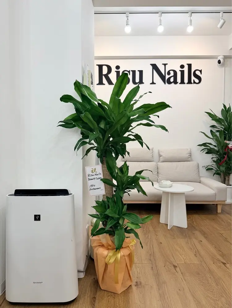Risu Nails Salon 代々木の内観・外観3