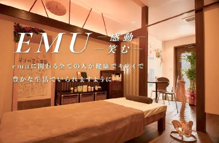 カイロプラクティックエステティックサロンEMUの内観・外観1