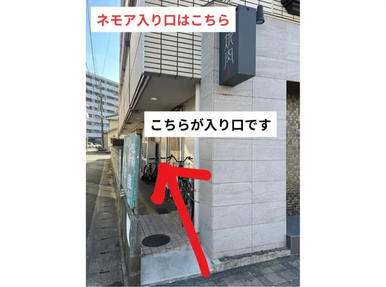 nemoaの内観・外観2