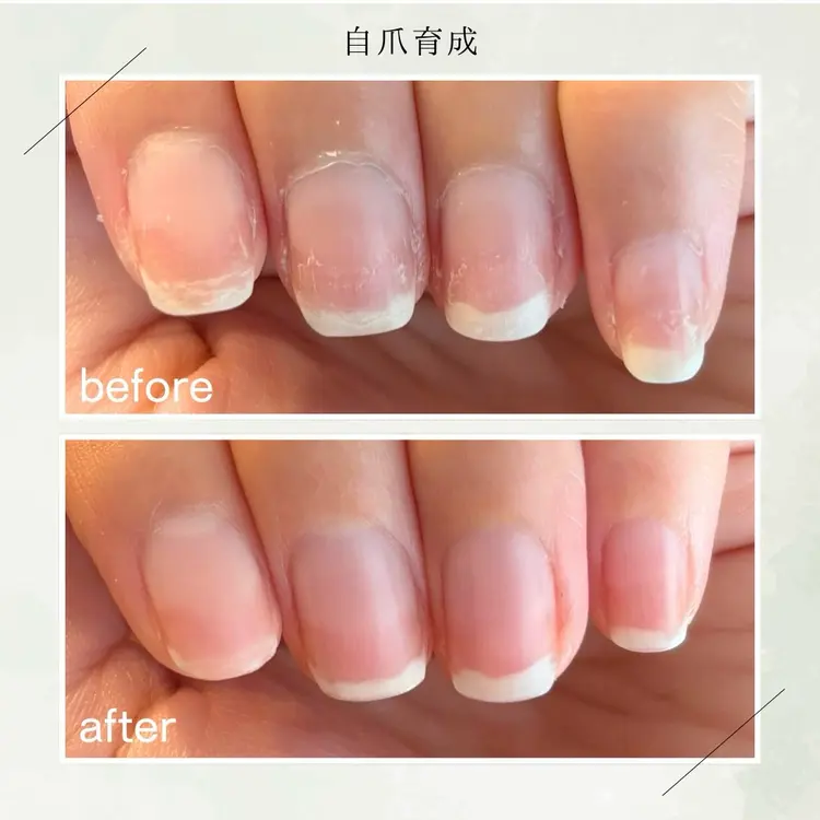 KOTORI ことりの内観・外観3