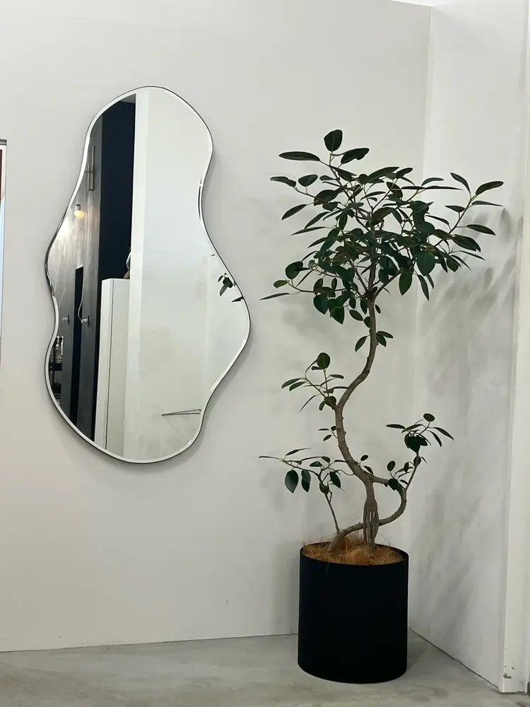 kiiの内観・外観2