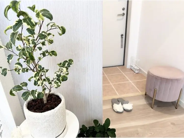 Cherieの内観・外観2