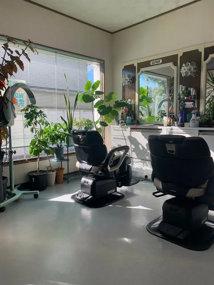 ピノキオの内観・外観1