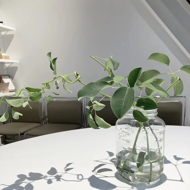 &72の内観・外観2