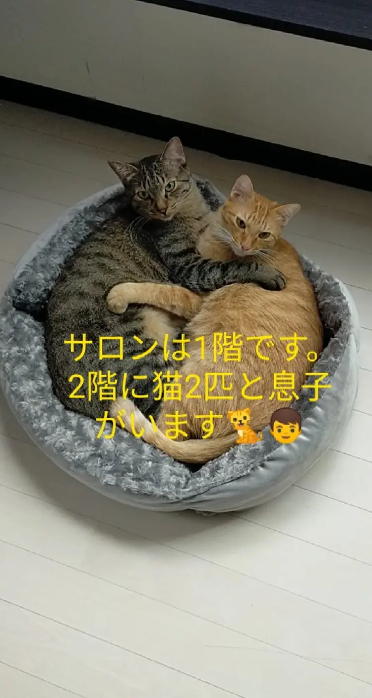 リラクゼーションサロンmasakiの内観・外観1