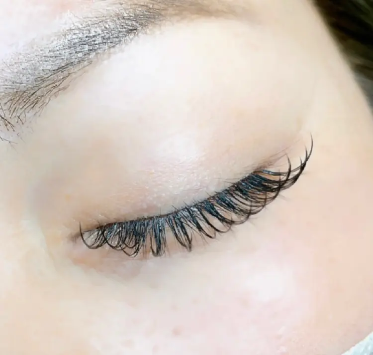 Lilyの内観・外観2