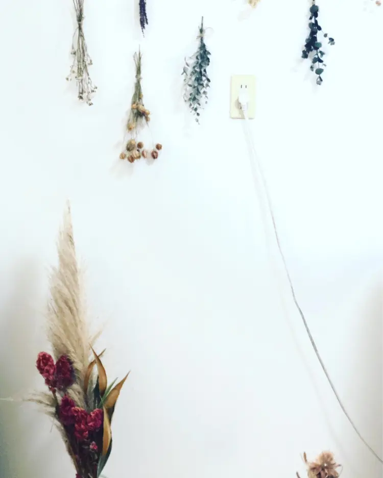 eyedesign Lunonの内観・外観2