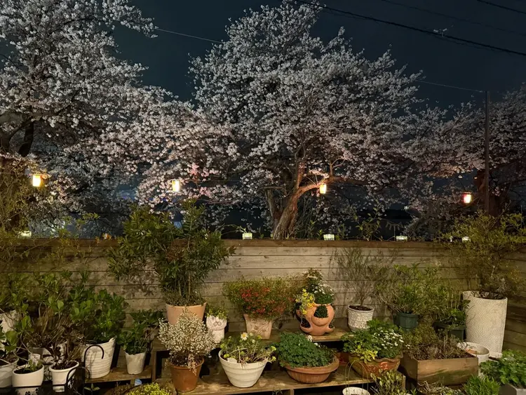 Graph'puppetの内観・外観2