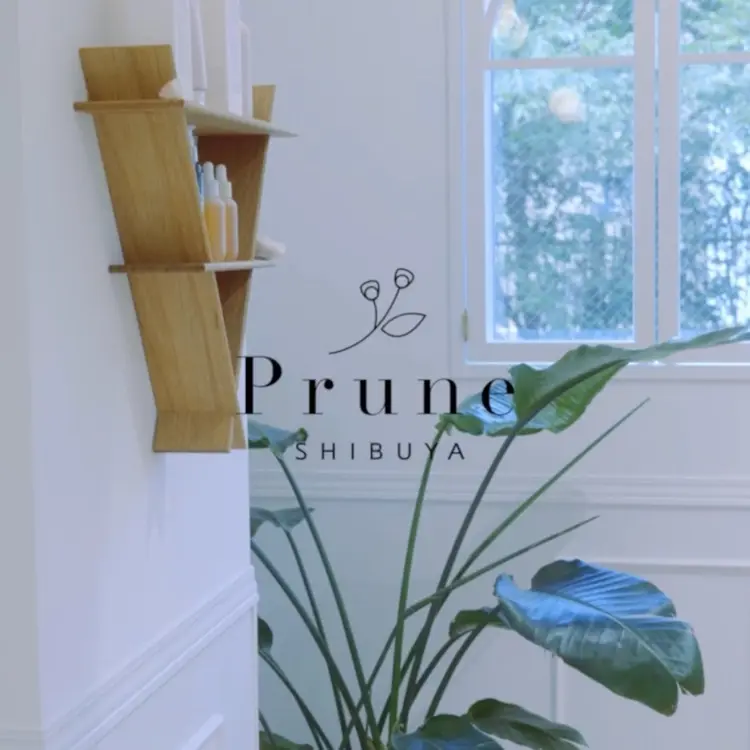 Prune　Shibuyaの内観・外観3