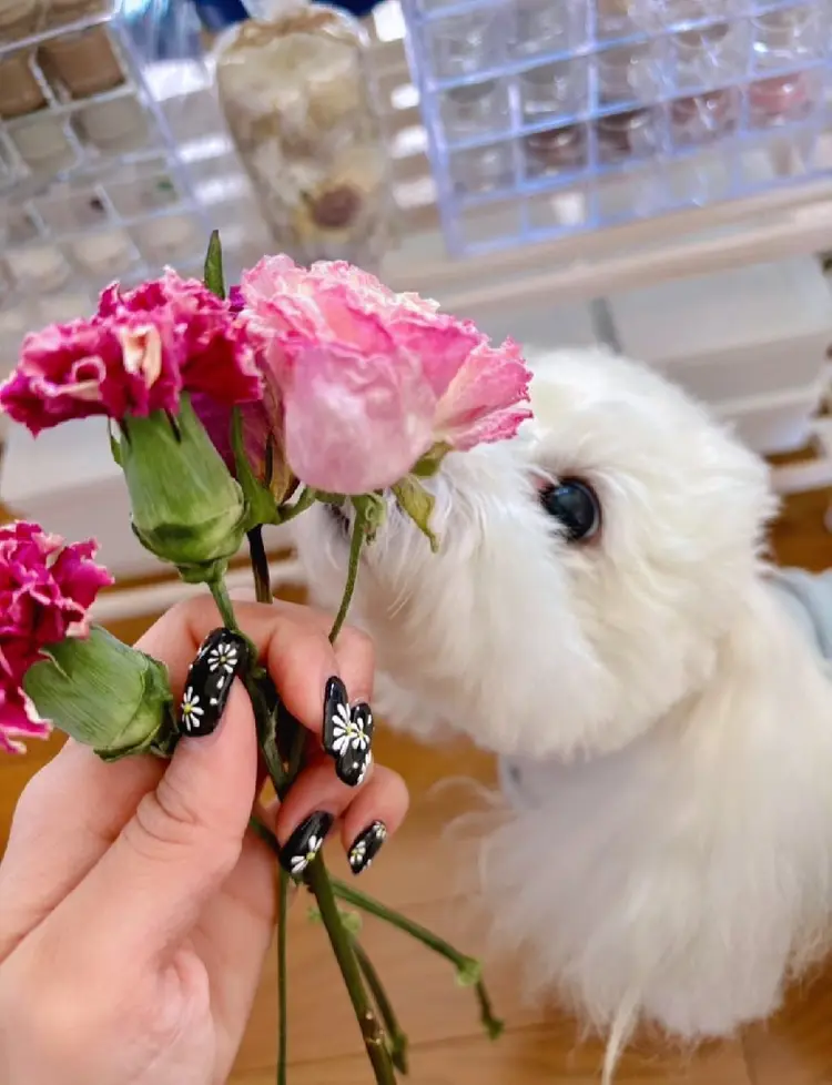 Sea Sunの内観・外観2