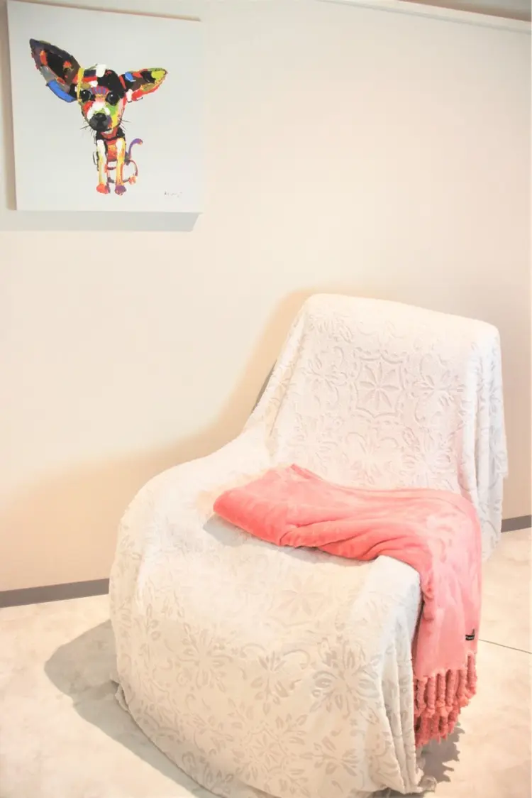 TiaLash.の内観・外観2