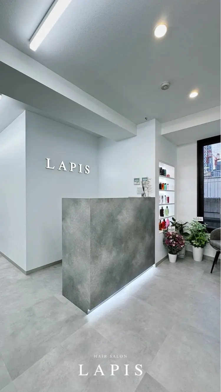 Lapisの内観・外観1