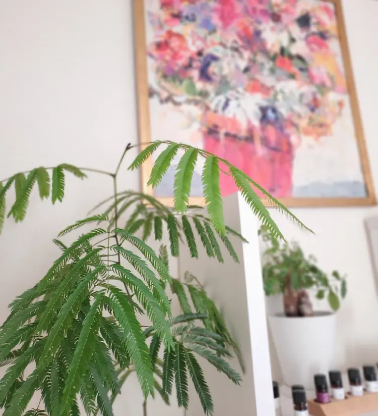 Aroma&Herb天使のての内観・外観2