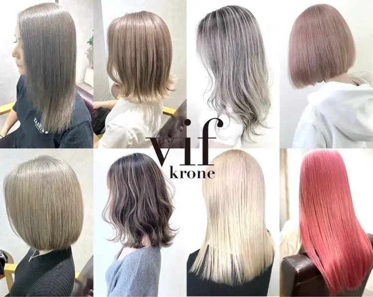 vifkrone(ヴィフクローネ)の内観・外観1