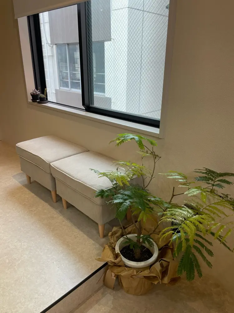 mokuri〜木音〜の内観・外観3