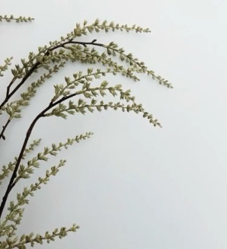 imの内観・外観3