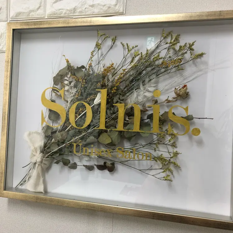 Solnis.-duo-の内観・外観2