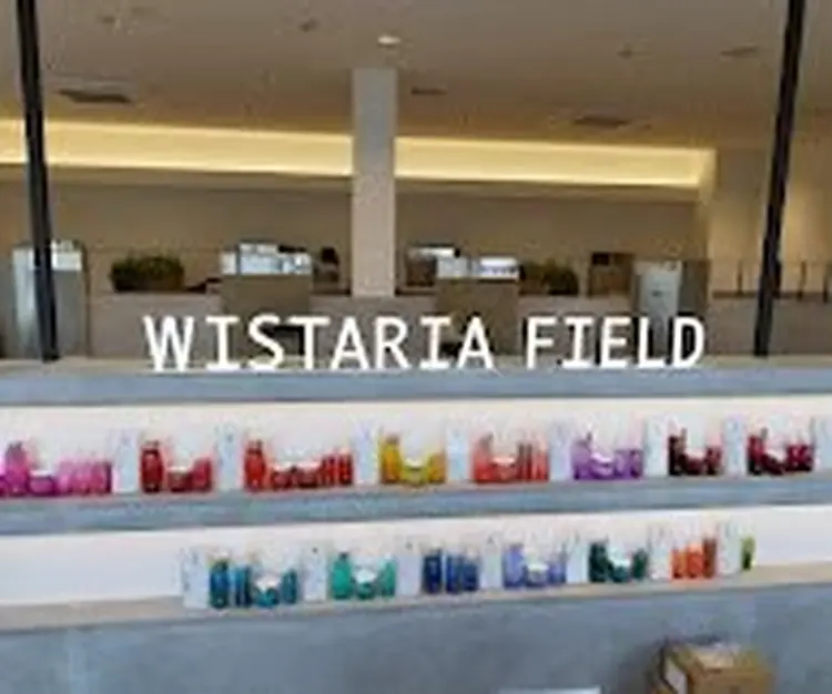 WISTARIA FIELD-PLANCHESの内観・外観3