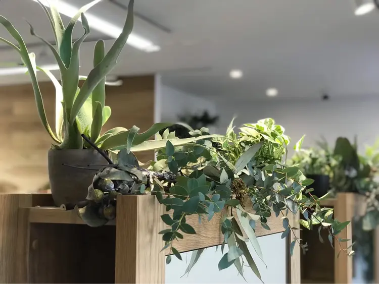 RUQWAの内観・外観3