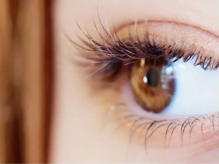 デザインK本店の内観・外観3