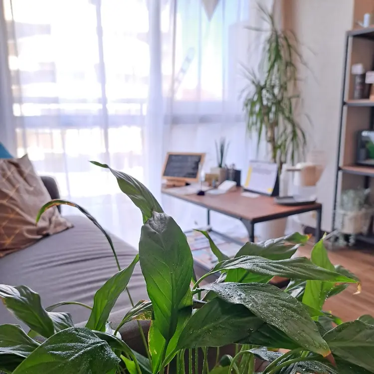 鍼灸サロンmiyabiの内観・外観1