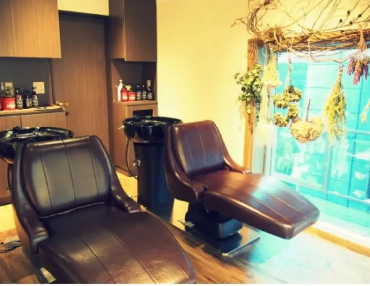 branch by suri-ruの内観・外観2