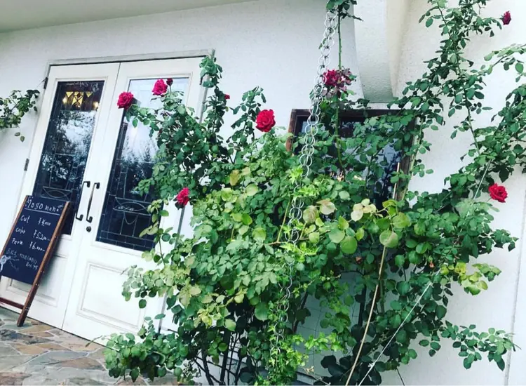 logo life at gardenの内観・外観1