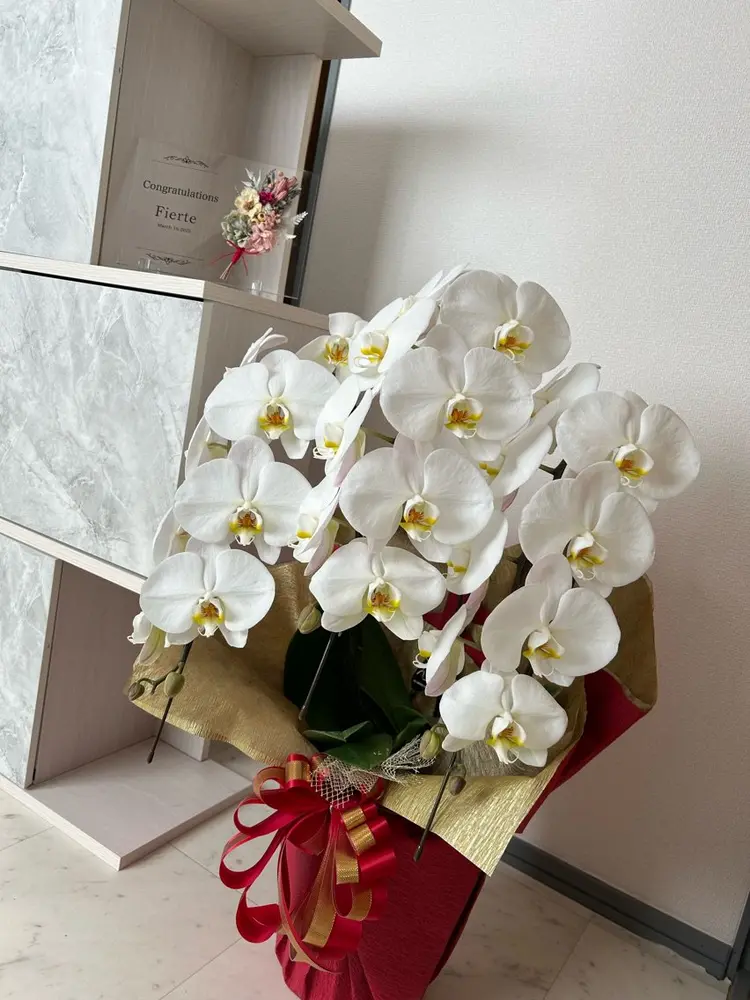 Fierteの内観・外観2