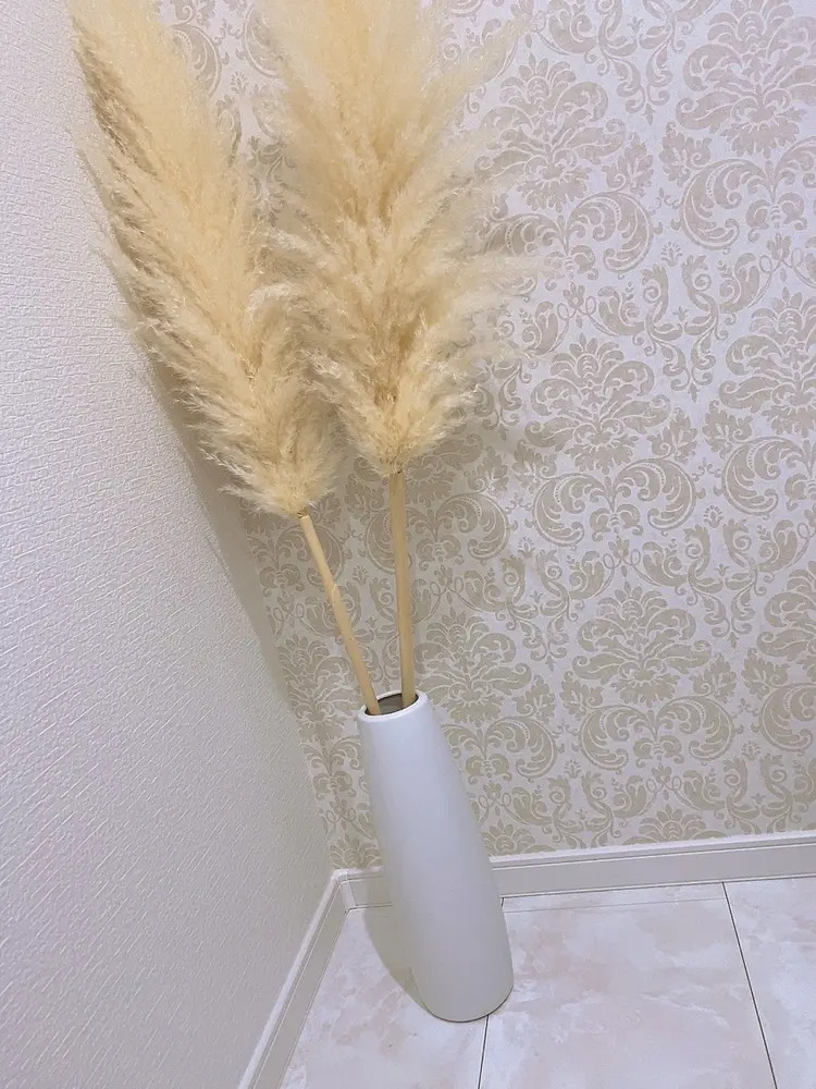 éshellの内観・外観3