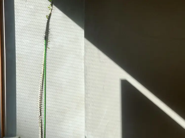 5:8の内観・外観2