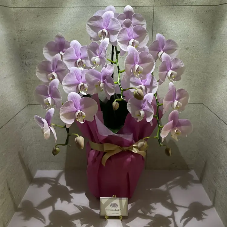 nailsalon L&Kの内観・外観3