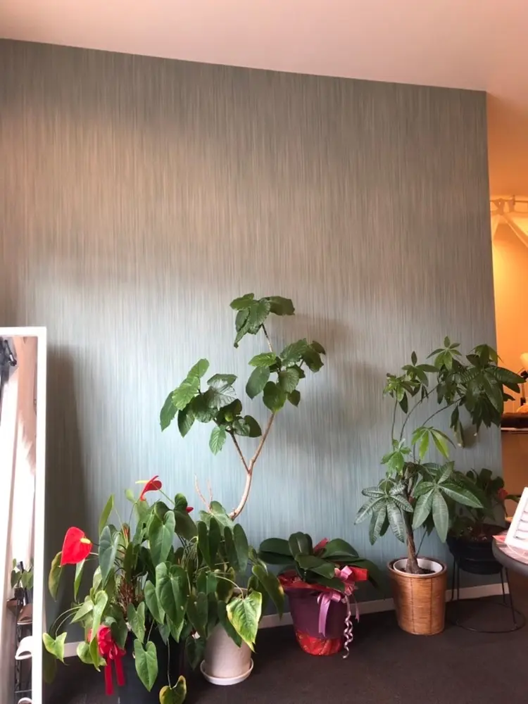 アンベリールの内観・外観2