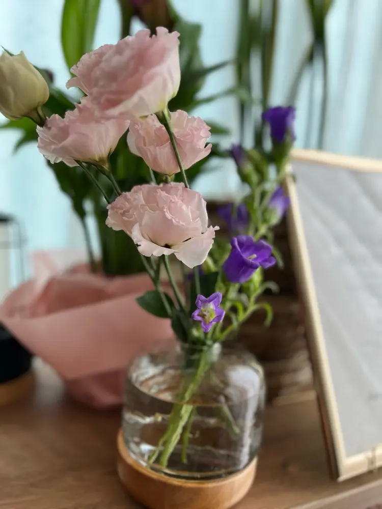 petite fleurの内観・外観3