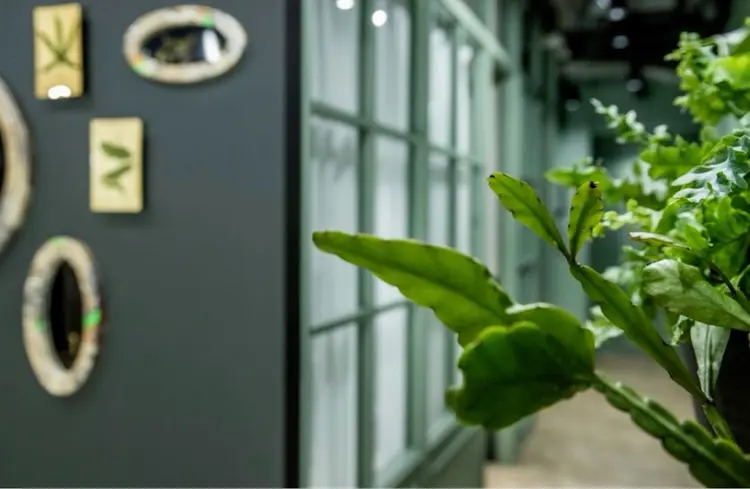 b-atelier MEGURO | ビーアトリエ目黒の内観・外観2