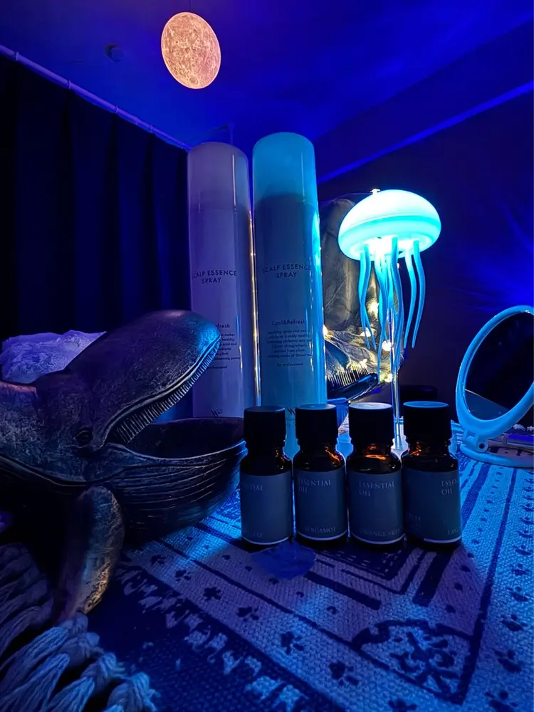 【鯨の眠る家】の内観・外観3