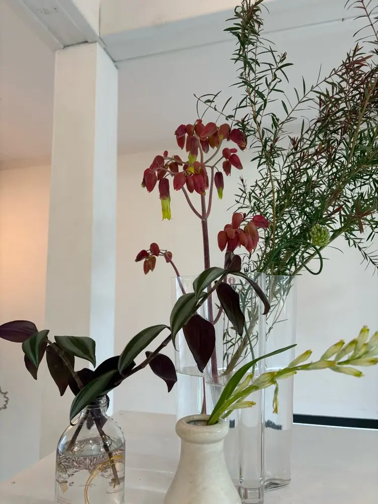 fiikaの内観・外観1