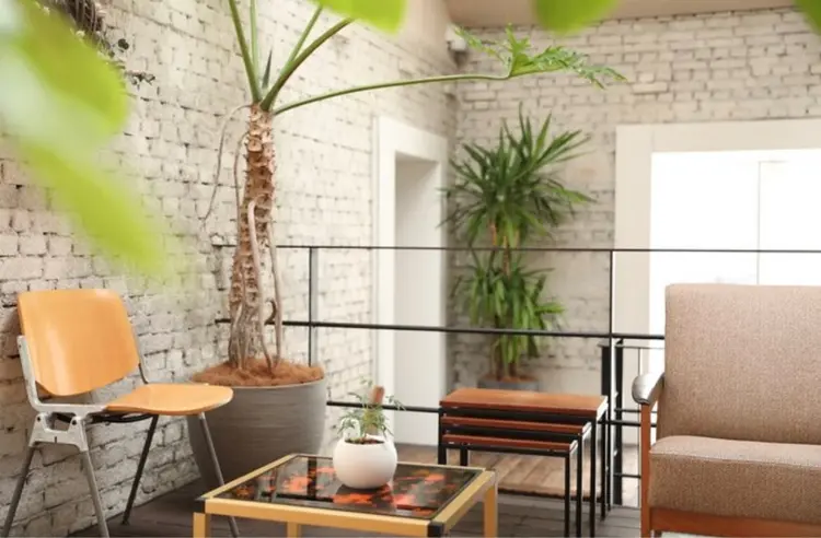 ルシードスタイルPLUSの内観・外観2