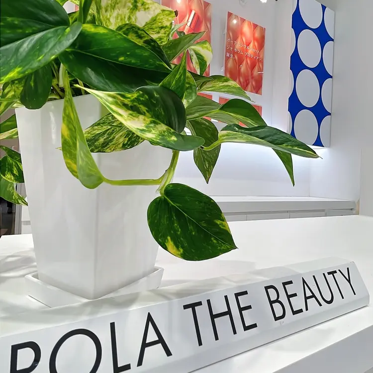 ポーラザビューティららぽーと立川立飛の内観・外観2